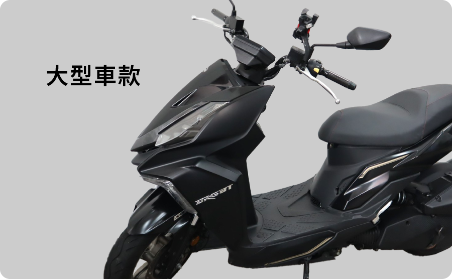 大型車款